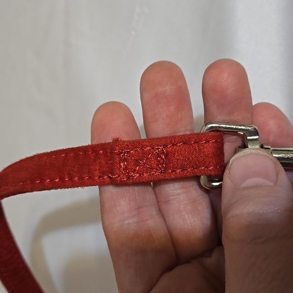 Blind dog leash Small dog 6' Length, Metal snap hook, Reinforced stitching, NWOT - Picture 5 of 6